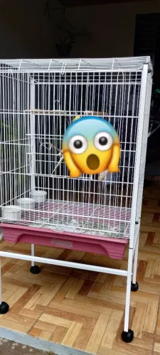 Desapego viveiro grande para aves e pássaros otima qualidade mais acessórios 