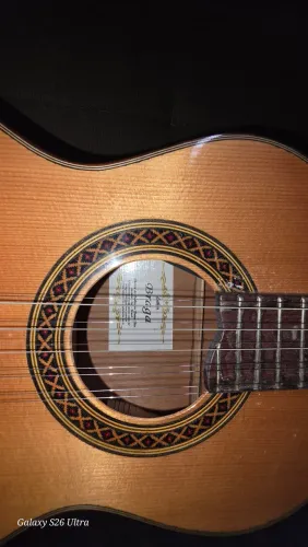 VIOLA ESTILO CAIPIRA BRAGA