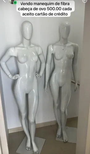 Manequim feminina fibra cabeça ovo