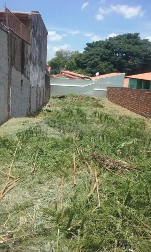 terreno - Vila Nova - Campinas