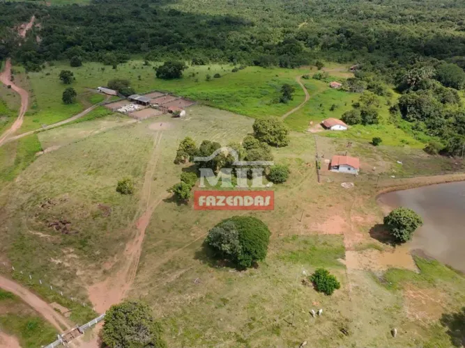 Fazenda 731,34 Alqueires (3.593,68 hectares) Amaralina - GO