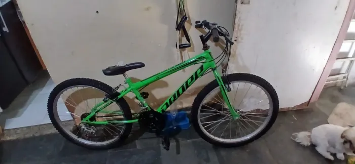 Bicicleta