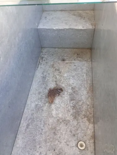 Freezer