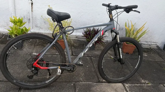 VENDO BIKE OGGI 7.0 zero