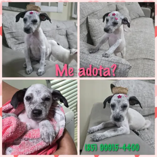 Me leva pra casa ? 