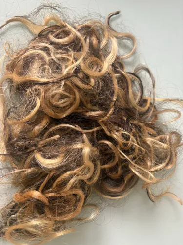 Cabelo Humano