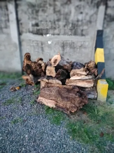 Madeira pra são João 