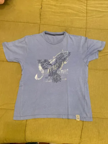 Camiseta Hering