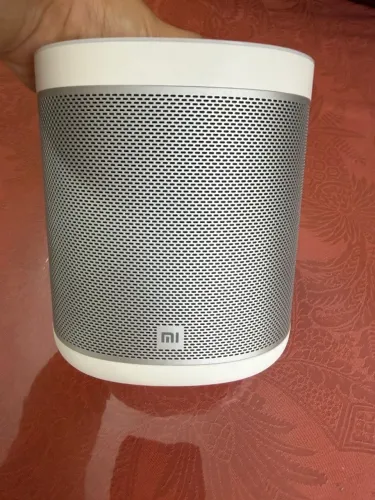 Caixa de Som Inteligente 12W com Google Assistente
