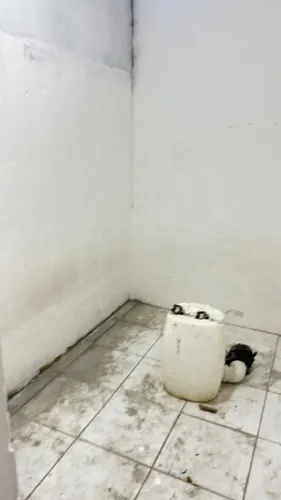 CASA PARA ALUGAR DOIS UNIDOS - VALE DO SENHOR