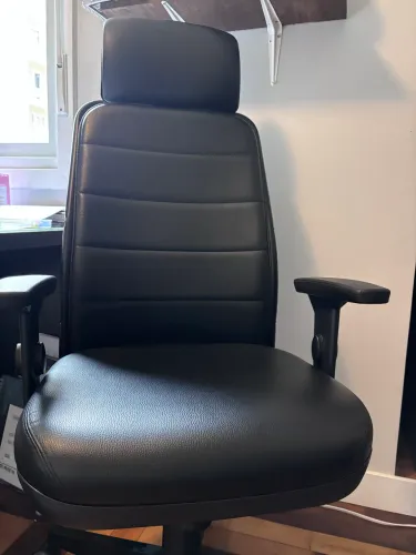 Cadeira Cavaletti ( presidente/ ergonômica)