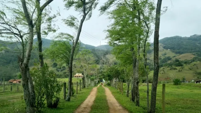 Chácara com 2 dormitórios à venda, 32000 m² no bairro Freitas - Paulo Lopes/SC