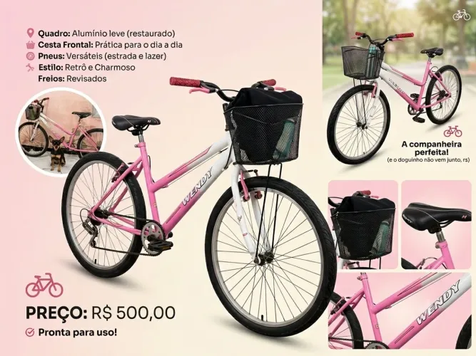 Bicicleta 