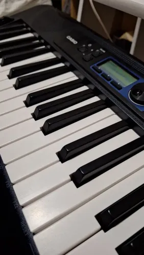 Teclado CASSIO CTS 300
