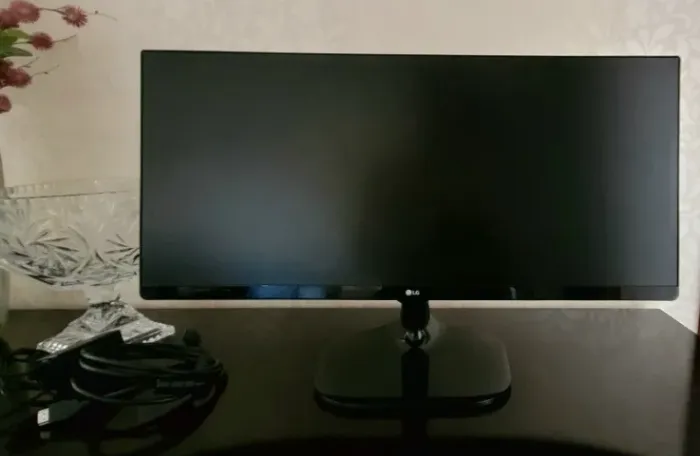 Monitor lg