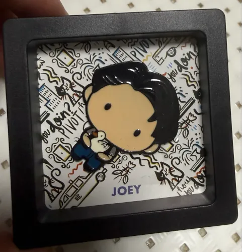 Pin com Quadrinho Joey Friends Colecionador
