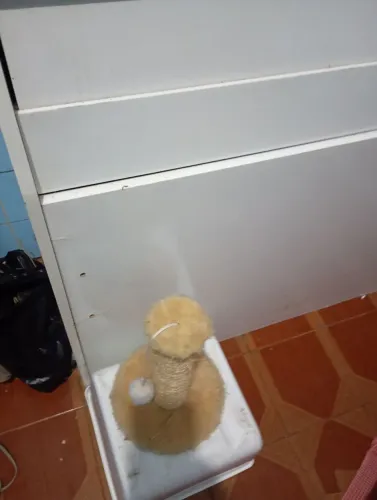 Arranhador 