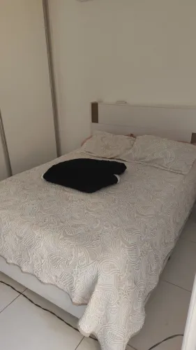 Cama Box