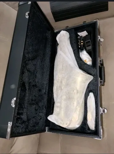 Sax Alto Eagle dourado novo