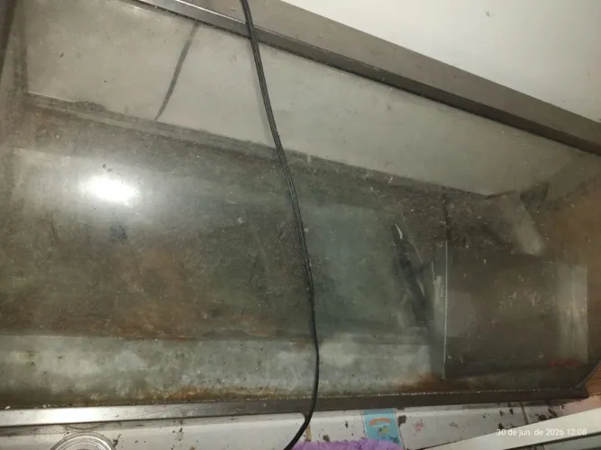 Duas estufas em bom estado três bandejas e a outra de seis bandejas
