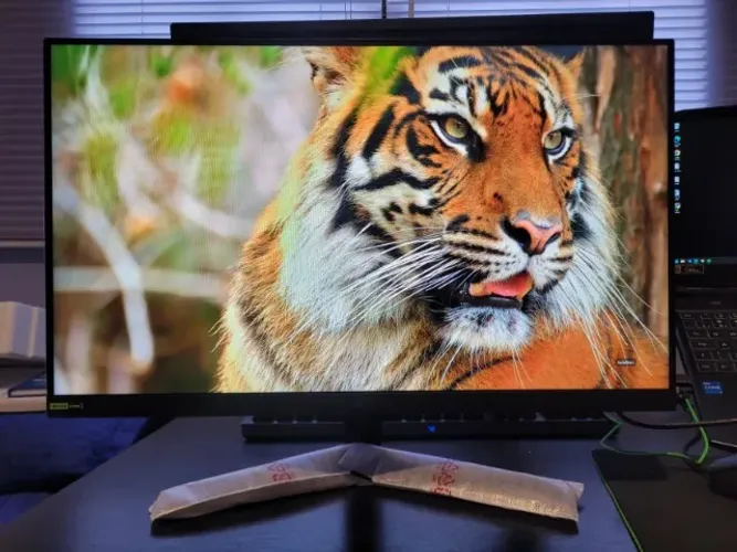 Monitor Gamer LG UltraGear 24