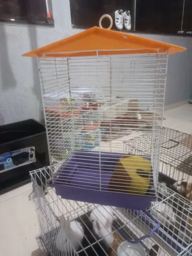 Gaiola hamster 3 andares 