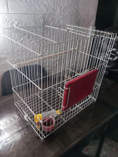 Vende-se Gaiola 