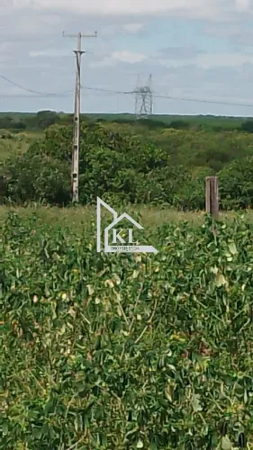 Investimento 562 Hectares com Abundância de Água - Oportunidade para Investimento ou Lazer