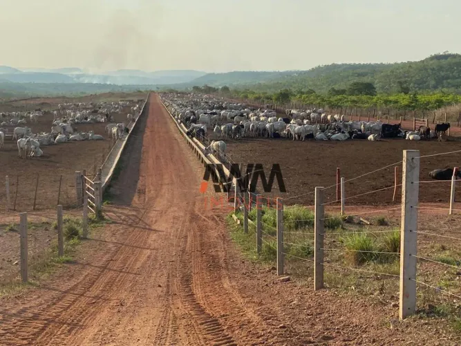 Fazenda à venda, m² por R$ 71.300.000,00 - Zona Rural - Pindorama do Tocantins/TO