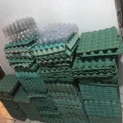 Cartelas de ovos