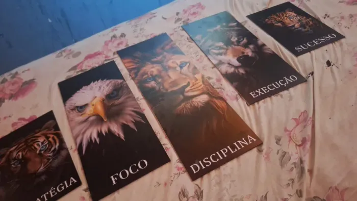 Quadros Decorativos 