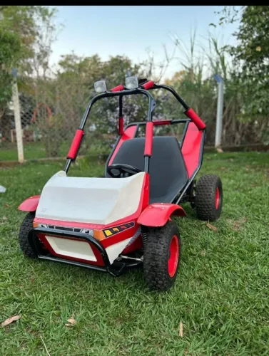 Mini Buggy Winner 