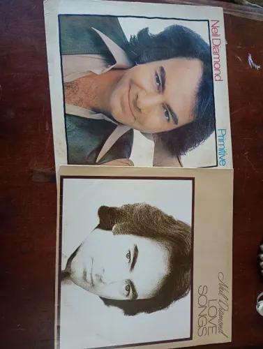 Discos de vinil Neil Diamond dois discos