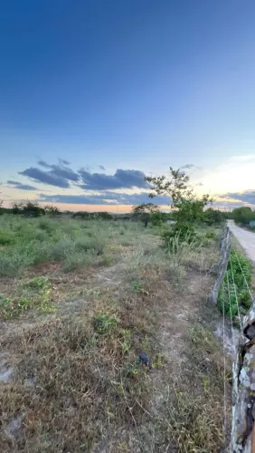 1 tarefa de terra próximo ao trevo de Olivença AL