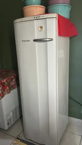 Freezer vertical