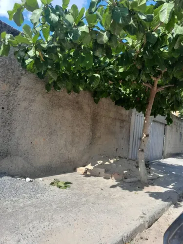Vendo lote no bairro girassol 180mil