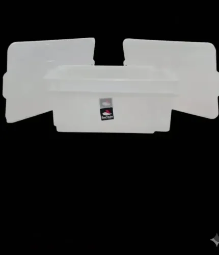 Kit 2 caixas Frigorificas com tampa 25L(novas)