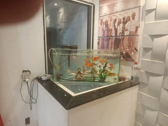 Aquário