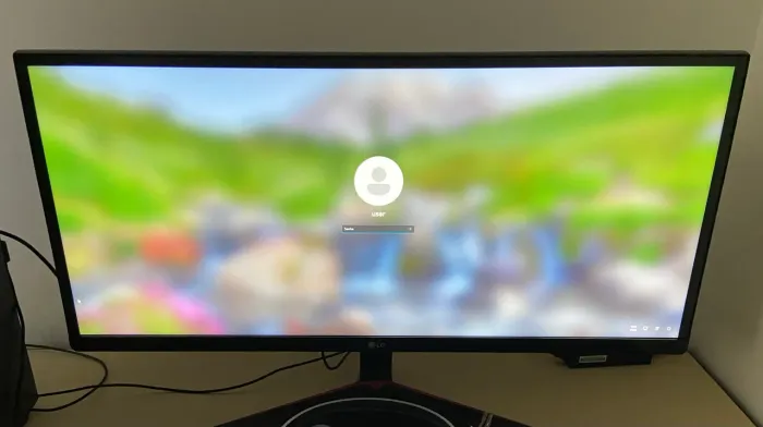 Monitor 29 Polegadas Gamer 