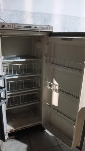 Freezer vertical 110v 