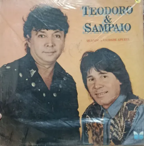 Lp disco de vinil sertanejo antigo