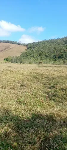 Vende-se Excelente Sítio em Pedro Teixeira - MG