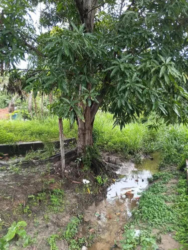Terreno há 7,800 mil