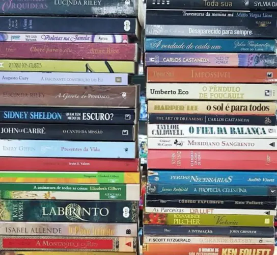 Lote de livros