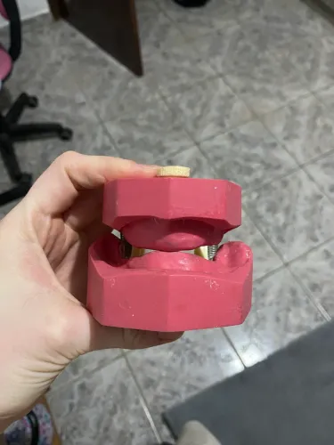 Manequim prótese total orais