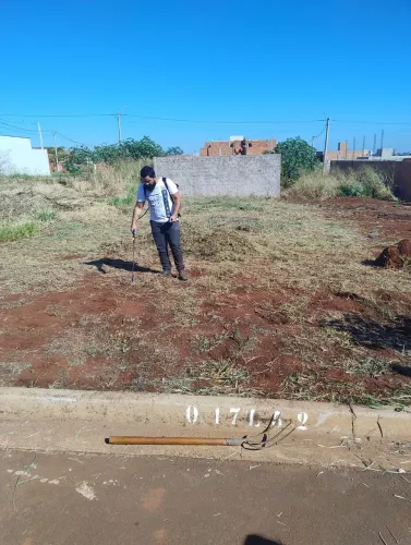 Limpeza de jardinagem e terreno