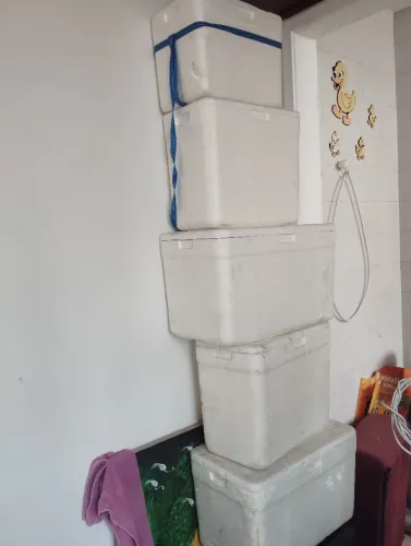 Caixa de isopor usadas apenas uma vez.