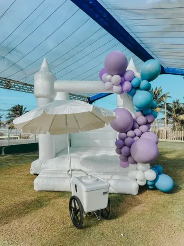 Carrinho de picolé para festa e eventos São Luís