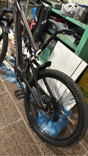 Specialized levo