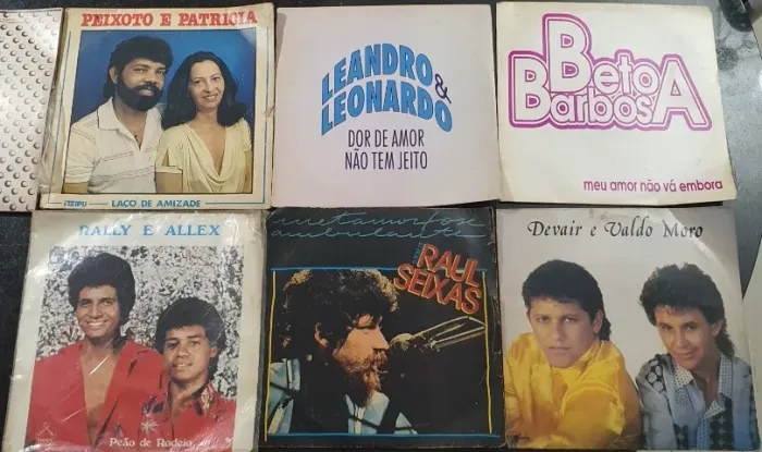 Vinis Raros e Clássicos - Raul Seixas, Raça Negra, Beto Barbosa e mais (9 Discos)